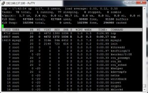 หน้าจอ terminal  แสดงภาระการทำงานภายในระบบของ Rasberry Pi